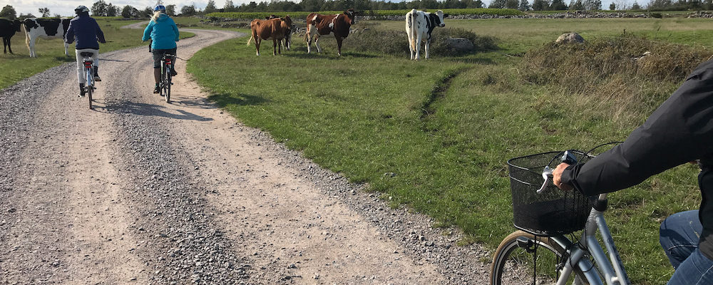 cykla i världsarvet