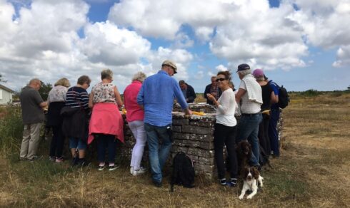 Matvandring i världsarvet på Alvaret